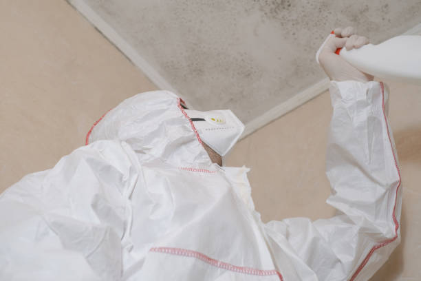 Best Fast Mold Removal  in Richfield, MN