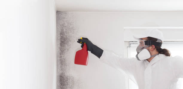 Crawl Space Mold Removal in Richfield, MN
